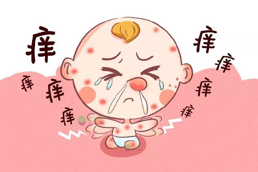 皮肤过敏可以吃什么