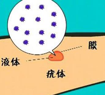 扁平疣有哪些病因